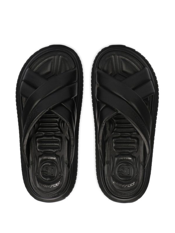 FRED SLIDES 001C