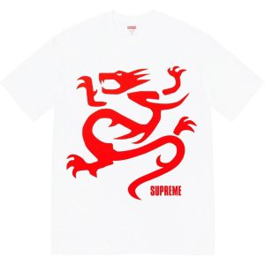 DRAGON INSPO SHIRT