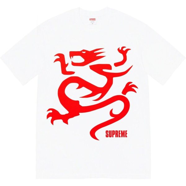 DRAGON INSPO SHIRT